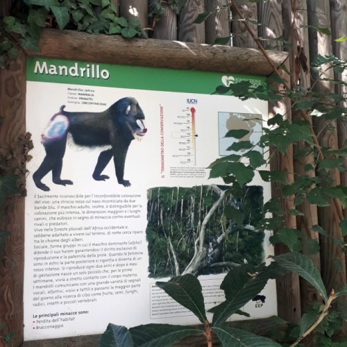 Bioparco di Roma