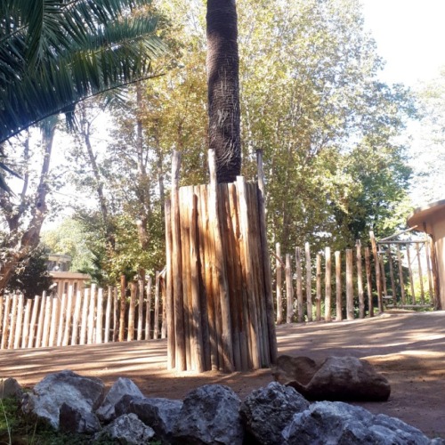 Bioparco di Roma